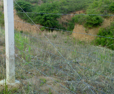 熱鍍鋅刺繩.jpg 熱鍍鋅刺繩.jpg